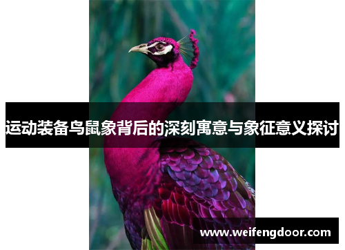 运动装备鸟鼠象背后的深刻寓意与象征意义探讨